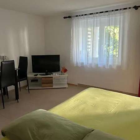 Apartment Anic *